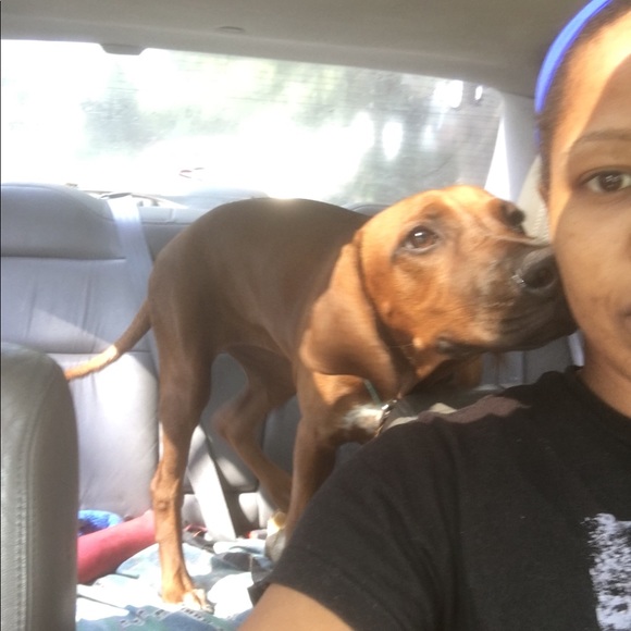 Meet your Posher, Latrissa - Picture 1 of 1